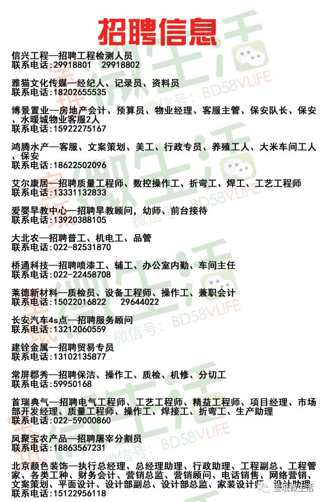 薊縣招聘網(wǎng)，科技引領(lǐng)求職新體驗(yàn)，最新招聘信息一網(wǎng)打盡