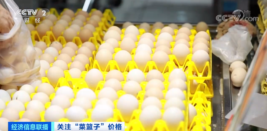 第1571頁