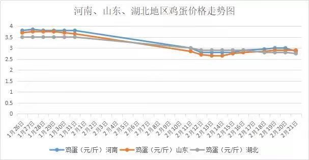 今日全國雞蛋價(jià)格行情走勢分析與論述