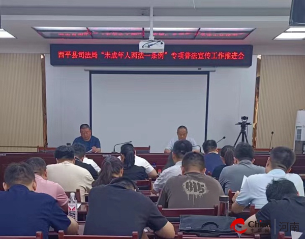 河南西平新聞最新動態(tài)，小巷深處的獨特風(fēng)味