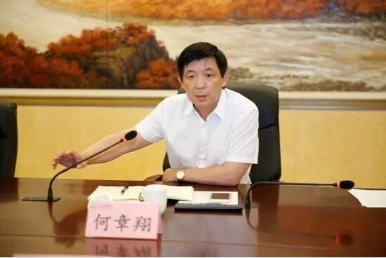 鎮(zhèn)江雷志強的最新任職，多維度視角下的深入探討