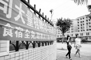 河源東源仙塘最新招聘，時(shí)代背景下的新機(jī)遇啟航