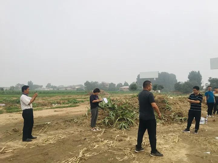 永年區(qū)最新工程項(xiàng)目，時(shí)代印記與未來展望之路
